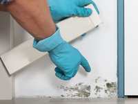 How to Prevent Mold and Mildew in Your Home
