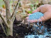 Tree Healthcare Tips for the Upcoming Spring Season.