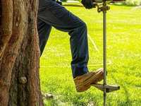 Deep Root Fertilization: A Little Known Service That Can Save Your Yard.