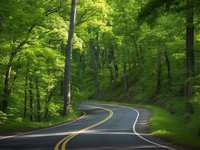 Top 10 Scenic Drives for Exotic Car Rentals in Spring, TX