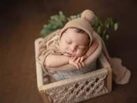 Newborn Sessions: Comfort, Care, and Beautiful Photos