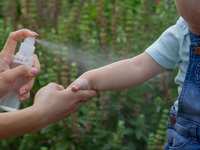 Bug bites & stings: myth vs. fact — debunking common misconceptions