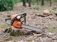 Average Tree Trimming Costs in Houston