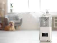 Do I Need AC, Dehumidifier, or Both?