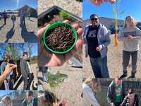 Growing Minds & Growing Gardens 🌱