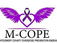 M-COPE - 2025 The WISE Conference Charity of Choice