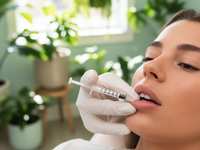 Lip Flip vs. Lip Filler: Understanding the Difference