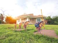 Winter Pest Control Myths: Why Cold Weather Doesn’t Stop Bugs in Houston, Spring & Katy TX