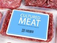 Petri Dish Meat, Really?