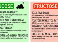 Fructose: The Most Harmful Sugar