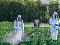 Herbicides and Adolescent Brains