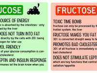 Fructose: The Most Harmful Sugar