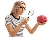 Nanoplastics Found In The Brain