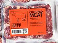 Fake Meat: The Troubling Truth