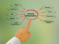 How Excess Body Fat Drives Inflammation—and What to Do About It