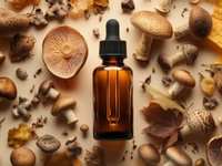 Mushrooms: A Fascinating Fungus Among Us!