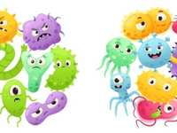 Quorum Sensing: How Microbes Decide When to Help—or Harm