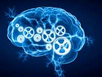 What If Alzheimer’s Begins Decades Before Memory Loss?