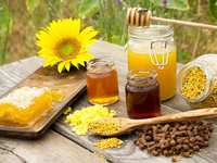 The Hive Is So Much More Than Honey!