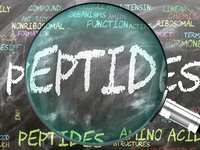 Peptides: What They Are, What They Aren't, What to Know