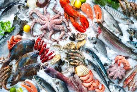 Top Seafood Picks