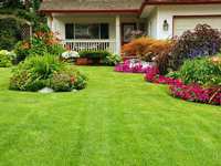 Landscaping and Gardening in July in The Woodlands