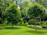 Gardening in March in The Woodlands