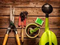 Gardening in May in The Woodlands