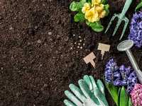 Gardening in June: Fertilizer Facts and Herbicide Hesitation