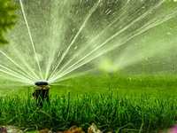 Gardening in July, 2023 in The Woodlands
