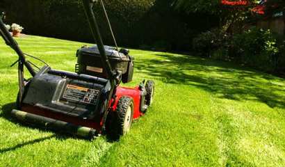 /images/blgs/561/artphotos/12934/410x240/2818mowing.jpg