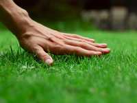September Lawn and Garden Tips in The Woodlands: Prepare for Fall!