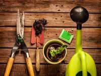 Celebrating 'Best of The Woodlands' & Gardening Tips for March