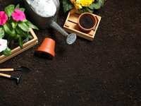 Springtime Lawn and Garden Care in The Woodlands: April Tips from Lawn Ranger Company