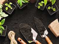 April Lawn & Landscape Guide for The Woodlands