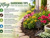 May Gardening Tips for The Woodlands