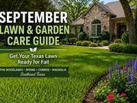 September Lawn and Garden Care Guide for The Woodlands and Southeast Texas