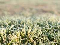 Winterization Tips for Homeowners near The Woodlands TX