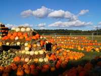 2023 Pumpkin Patches, Fall Fests, and More! 2023 Pumpkin Patches, Fall Fests, and More!