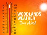 Yes, it's a Heatwave
