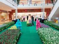The Woodlands Mall filled with flowers and art The Woodlands Mall filled with flowers and art