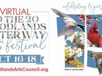 Countdown to the 2020 Virtual Festival, An Interactive Celebration of the Arts Countdown to the 2020 Virtual Festival, An Interactive Celebration of the Arts