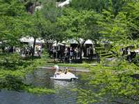 The Woodlands Waterway Arts Festival is THIS WEEKEND, April 9 to 11! The Woodlands Waterway Arts Festival is THIS WEEKEND, April 9 to 11!