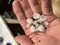 Hail Falls Around The Woodlands and North Houston Hail Falls Around The Woodlands and North Houston