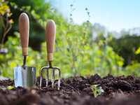 Tips For A Good Garden