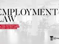 What Texas Businesses Can Learn Employment Law Mistakes