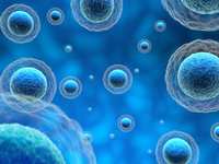 Advantages of Stem Cell Therapy for Foot and Ankle Pain