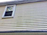 Combating Mold Growth