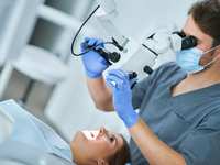Common Dental Procedures Explained: From Fillings To Root Canals
