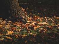 Smart Financial Moves to Make Before Year-End: Your November Checklist